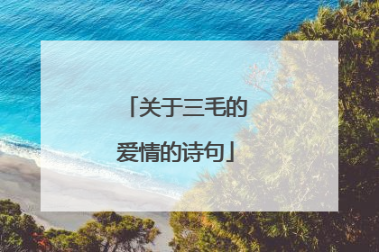 关于三毛的爱情的诗句