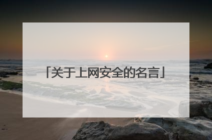 关于上网安全的名言
