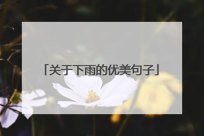 关于下雨的优美句子