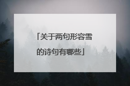 关于两句形容雪的诗句有哪些