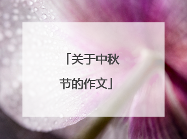 关于中秋节的作文