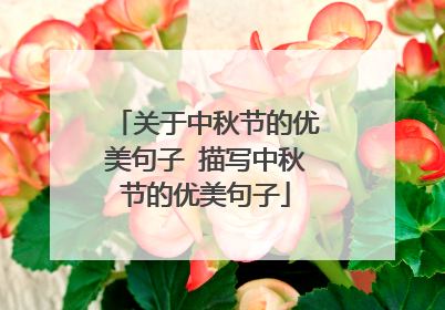 关于中秋节的优美句子 描写中秋节的优美句子