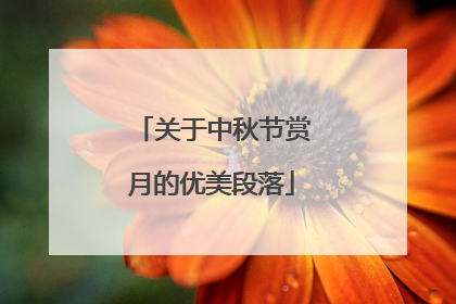 关于中秋节赏月的优美段落