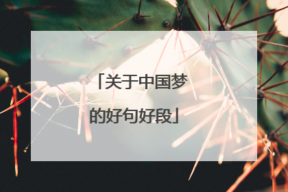 关于中国梦的好句好段