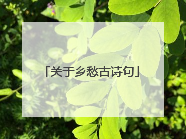 关于乡愁古诗句