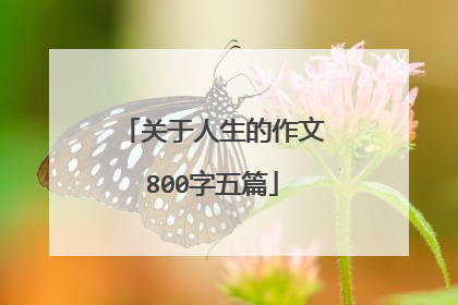 关于人生的作文800字五篇