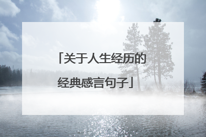 关于人生经历的经典感言句子