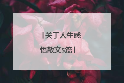 关于人生感悟散文5篇