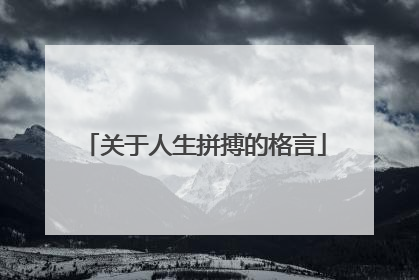 关于人生拼搏的格言