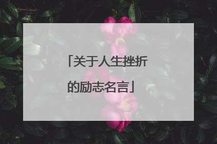 关于人生挫折的励志名言