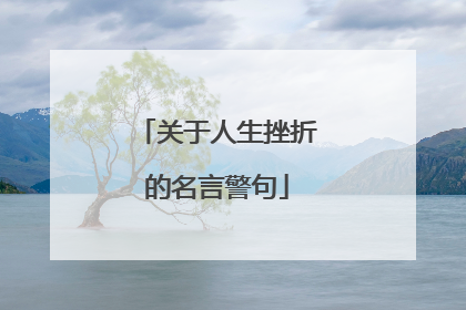 关于人生挫折的名言警句