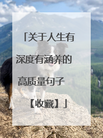 关于人生有深度有涵养的高质量句子 【收藏】