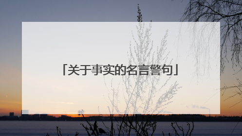 关于事实的名言警句
