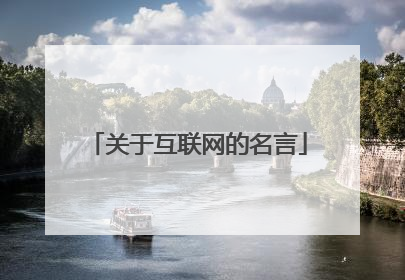 关于互联网的名言