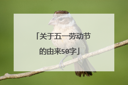 关于五一劳动节的由来50字