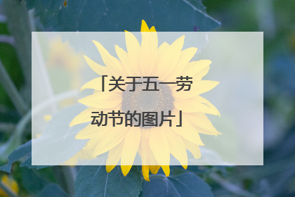 关于五一劳动节的图片