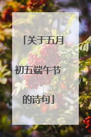关于五月初五端午节的诗句