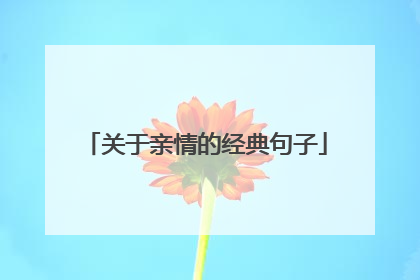 关于亲情的经典句子