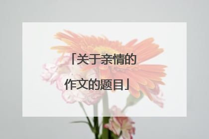 关于亲情的作文的题目