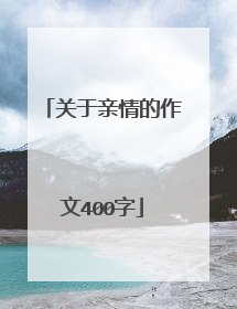 关于亲情的作文400字