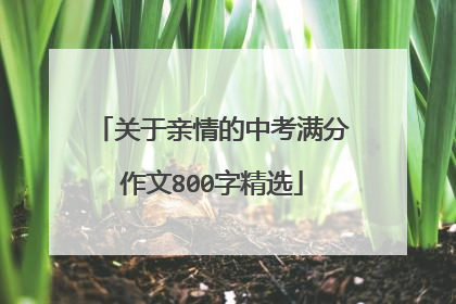 关于亲情的中考满分作文800字精选