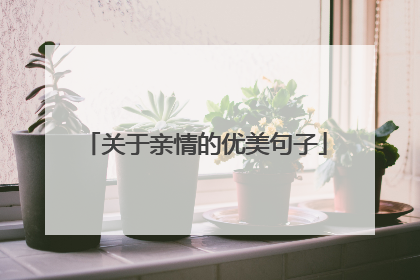 关于亲情的优美句子