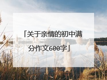 关于亲情的初中满分作文600字