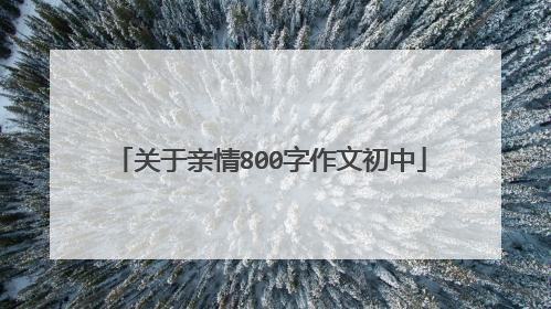 关于亲情800字作文初中