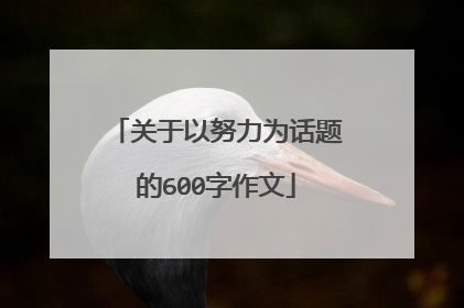 关于以努力为话题的600字作文