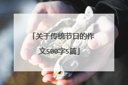 关于传统节日的作文500字5篇