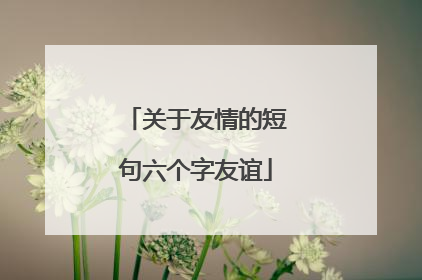 关于友情的短句六个字友谊