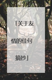关于友情的佳句摘抄