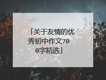 关于友情的优秀初中作文700字精选