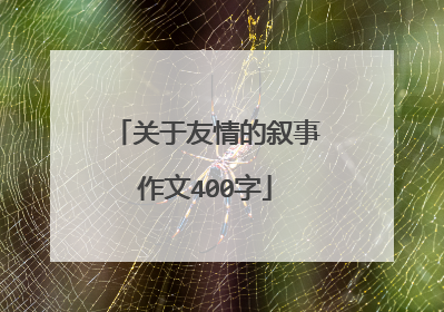 关于友情的叙事作文400字