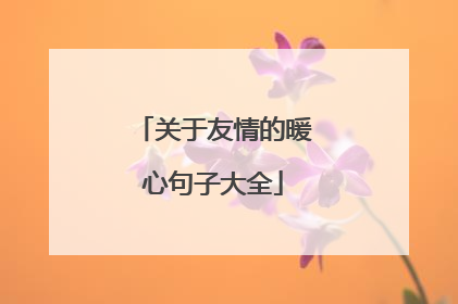 关于友情的暖心句子大全