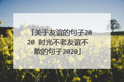 关于友谊的句子2020 时光不老友谊不散的句子2020