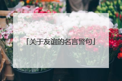 关于友谊的名言警句