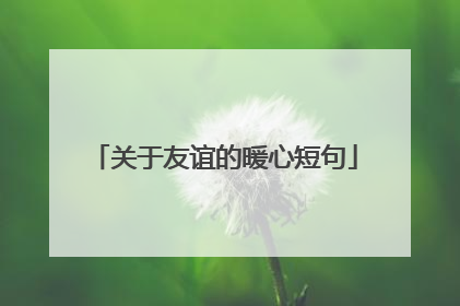 关于友谊的暖心短句