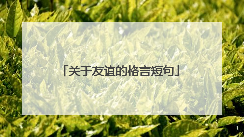 关于友谊的格言短句
