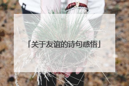 关于友谊的诗句感悟