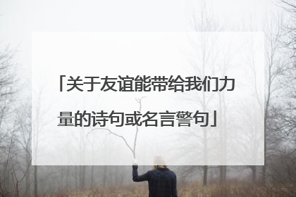 关于友谊能带给我们力量的诗句或名言警句