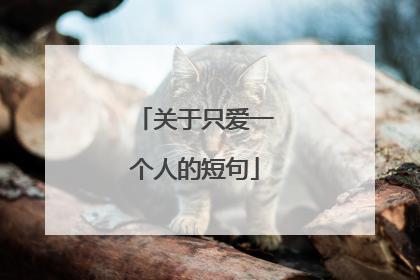 关于只爱一个人的短句