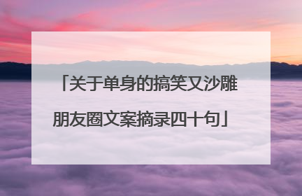 关于单身的搞笑又沙雕朋友圈文案摘录四十句