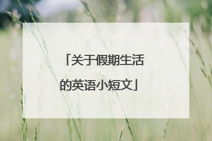 关于假期生活的英语小短文