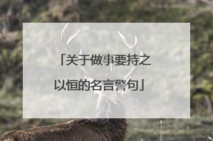 关于做事要持之以恒的名言警句