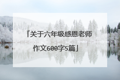 关于六年级感恩老师作文600字5篇