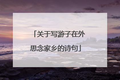 关于写游子在外思念家乡的诗句