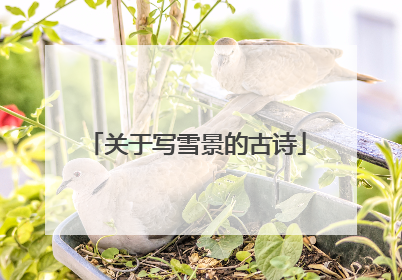 关于写雪景的古诗
