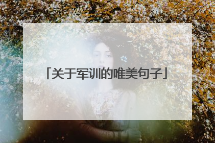 关于军训的唯美句子