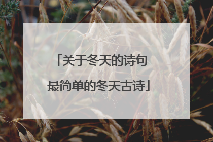 关于冬天的诗句 最简单的冬天古诗